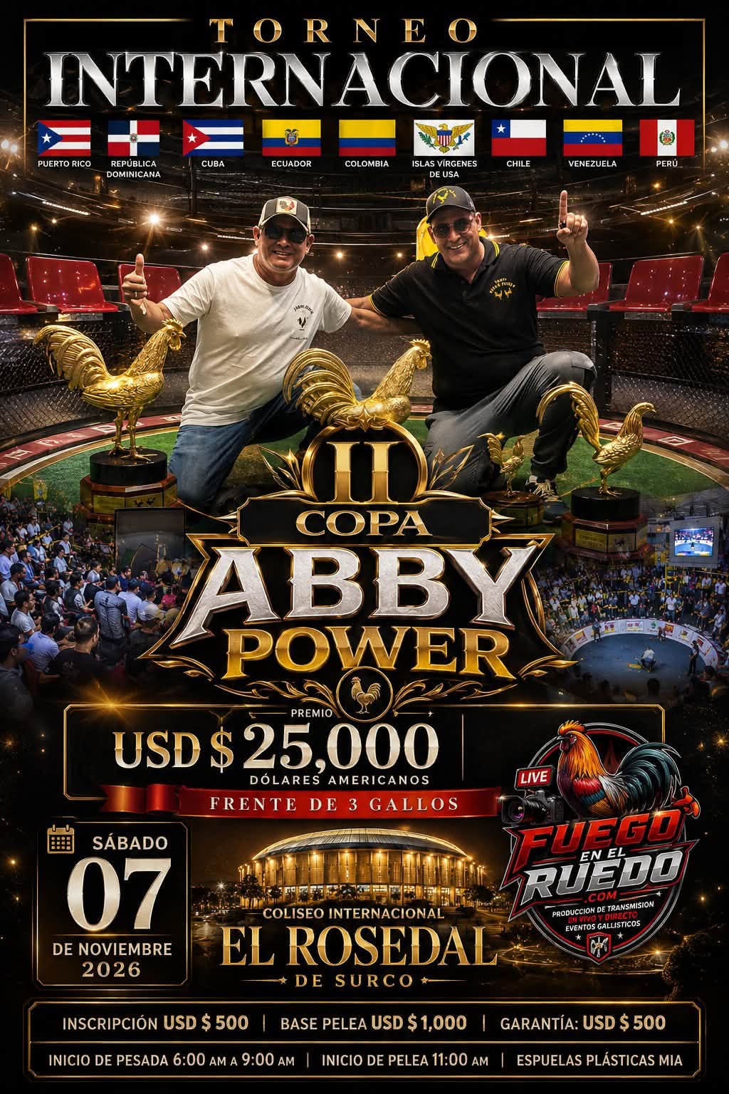 2DA COPA ABBYS POWER